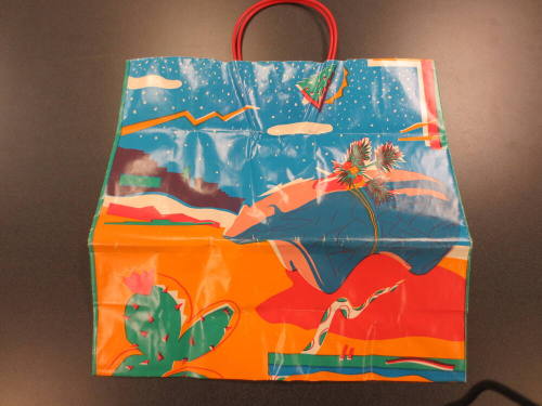 Goldwater Christmas Shopping Bag