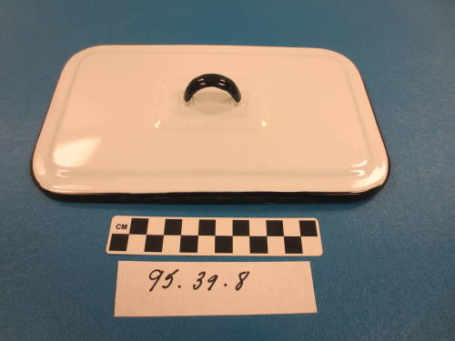 Utensil tray
