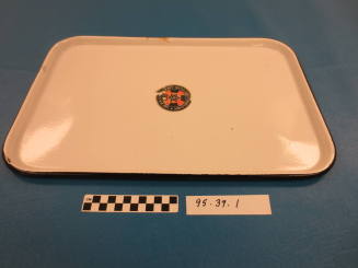 Medical Utensil Tray