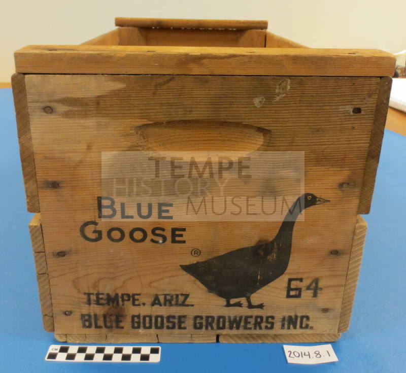 Blue Goose Shipping Crate- Tempe AZ