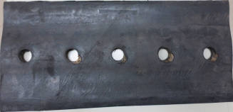 Dam Bladder Fragment