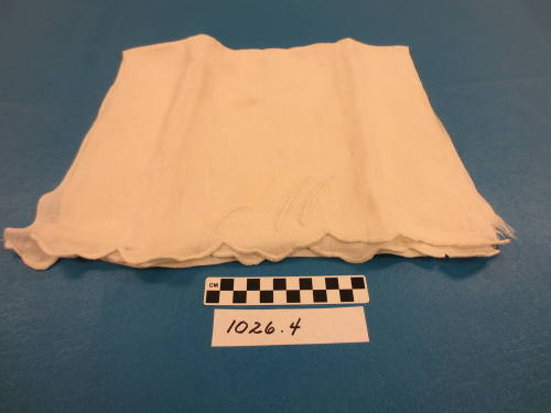 Dish Towel