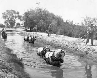 Men and Horses dredging a canal