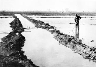 Irrigation by canal