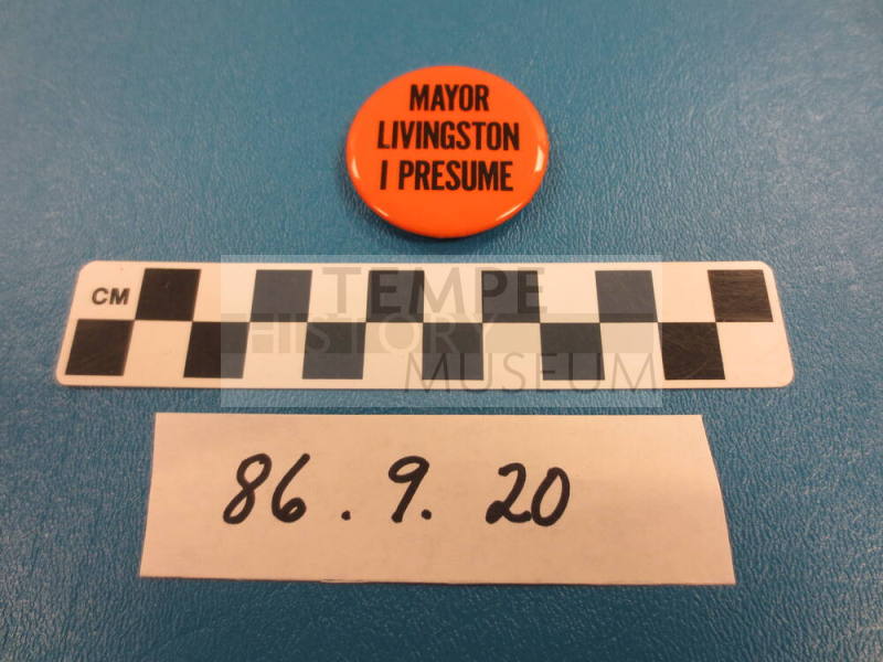 Campaign Button