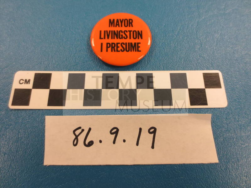 Campaign Button