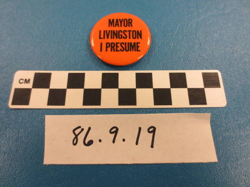 Campaign Button