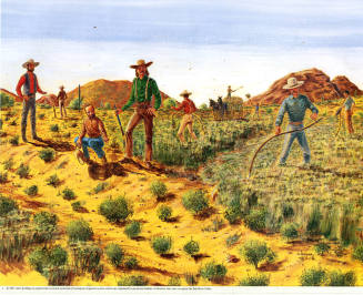 Salt River Water User Association formation Set of 4 C.Kemper Prints