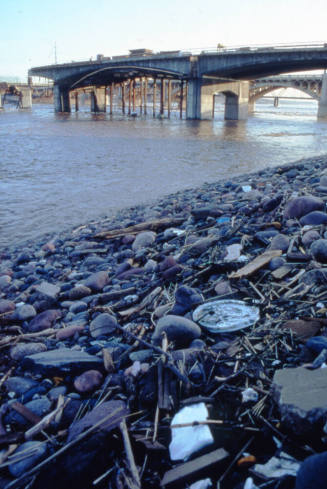 Receding flood waters with the damaged new Mill Avenue bridge in the background.