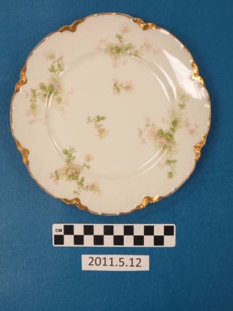Haviland Salad Plate