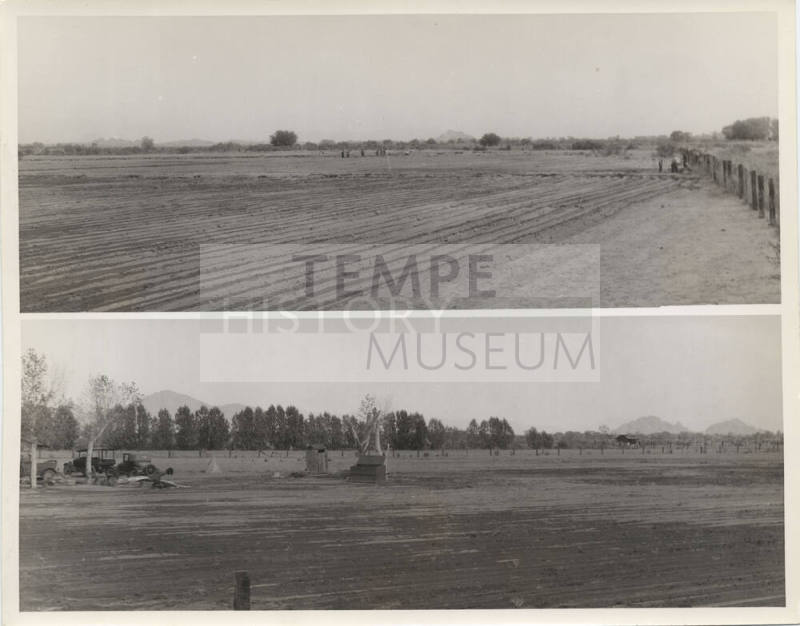 Welfare Gardens at 16th Street and Salt River