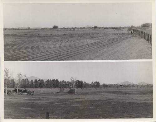 Welfare Gardens at 16th Street and Salt River