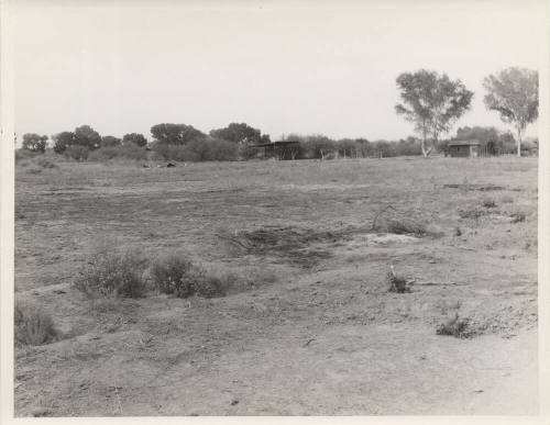 Welfare Gardens clearing at lateral 17 and Broadway