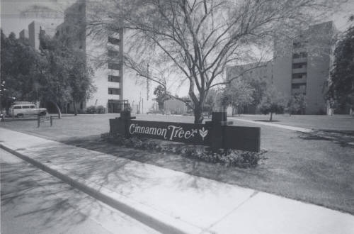 Cinnamon Tree Apartments - 909 South Terrace Road, Tempe, Arizona