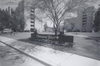 Cinnamon Tree Apartments - 909 South Terrace Road, Tempe, Arizona