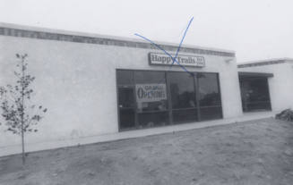 Happy Trails for You - 1042 South Terrace Road, Tempe, Arizona
