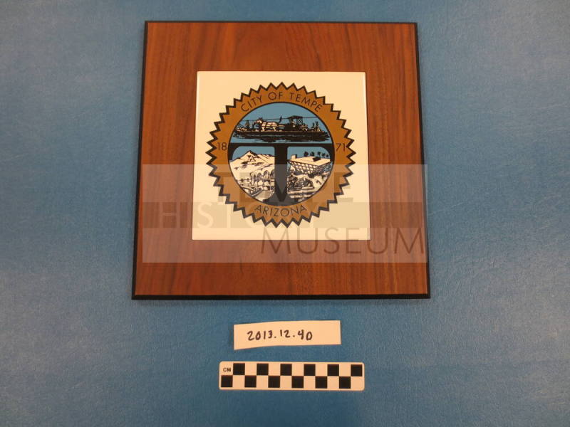 COT plaque