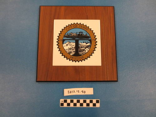 COT plaque