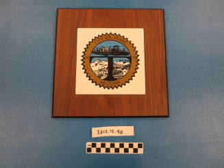 COT plaque