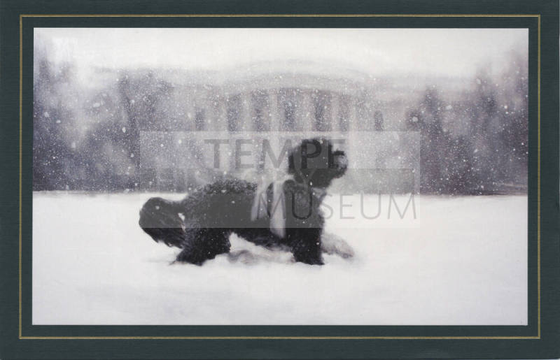 White House Christmas Card