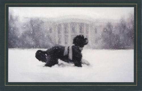 White House Christmas Card