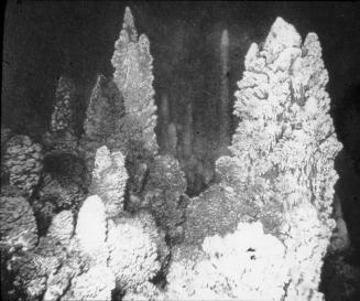 Stalactites in Cave, Bisbee,  Arizona