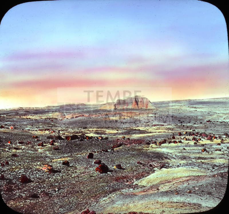 Petrified Forest, Arizona