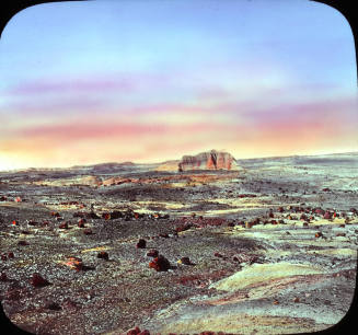 Petrified Forest, Arizona