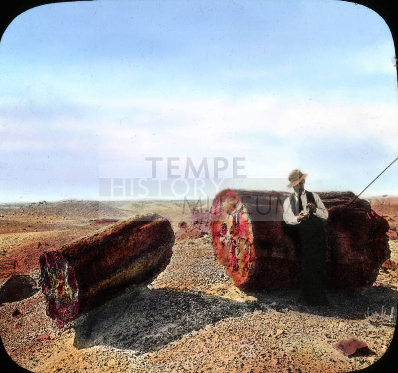 The Largest Log, Petrified Forest, Arizona