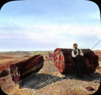The Largest Log, Petrified Forest, Arizona