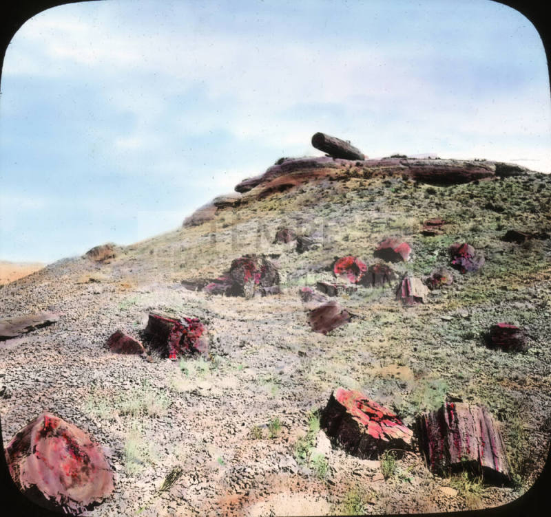 The Cannon, Petrified Forest, Arizona