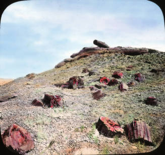 The Cannon, Petrified Forest, Arizona