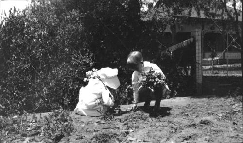 Image of Dorothy and Charles Harold Woolf
