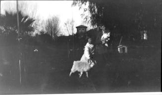 Image of Charles Harold and Dorothy holding sheep and cat.