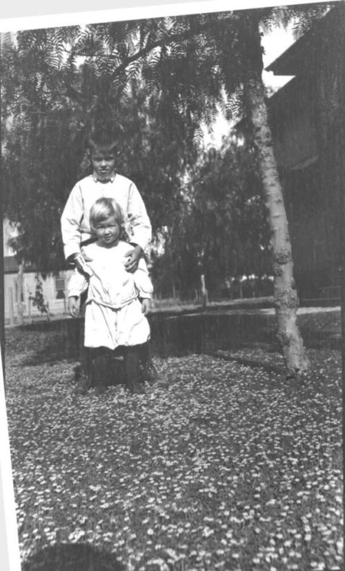 boy and younger child in field of flowers