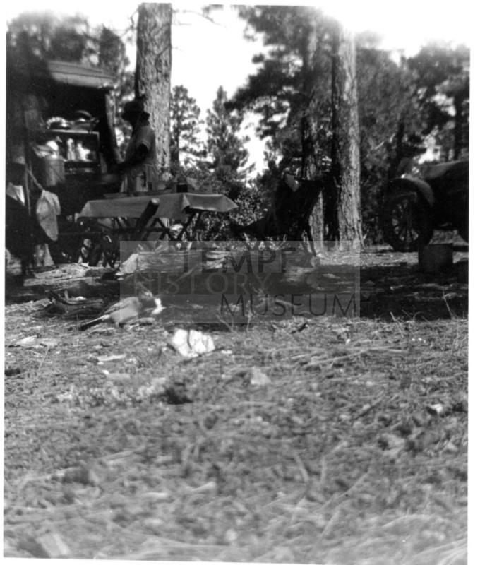 family campsite at Horton Creek in Tonto National Forest.