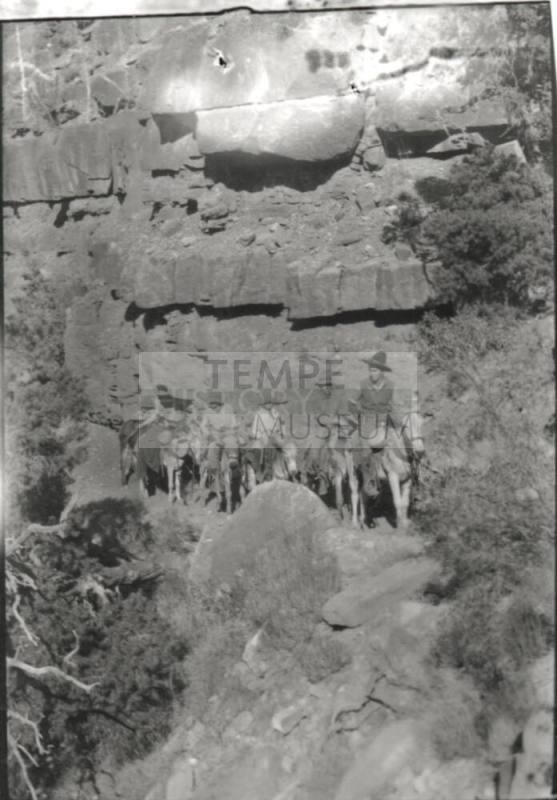trail ride on pack mules, probably at the Grand Canyon