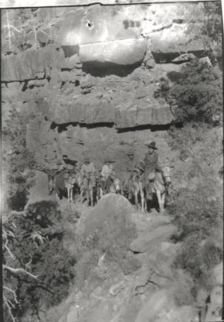 trail ride on pack mules, probably at the Grand Canyon