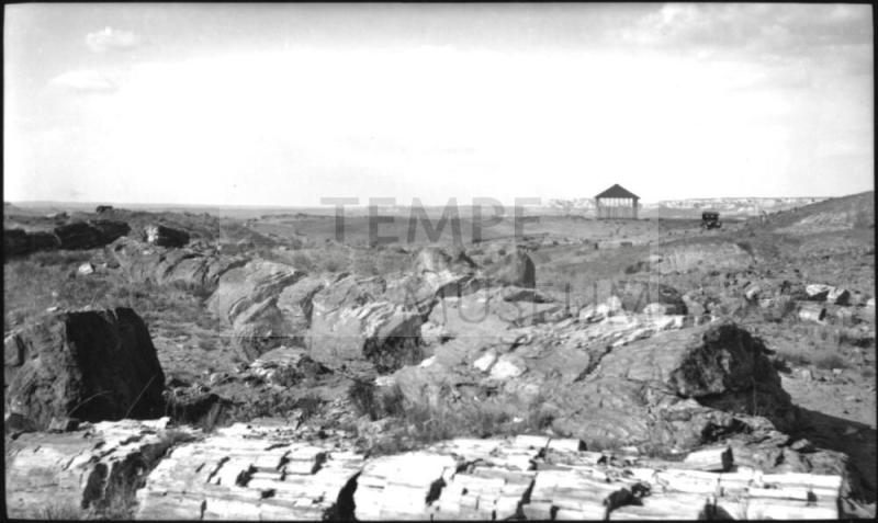 Petrified Forest National Park