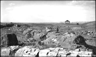Petrified Forest National Park