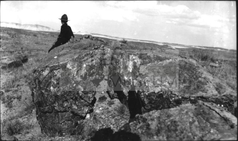 boy (Charles Harold or cousin?) sitting on tree trunk at Petrified Forest National Park