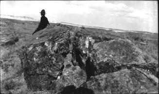 boy (Charles Harold or cousin?) sitting on tree trunk at Petrified Forest National Park