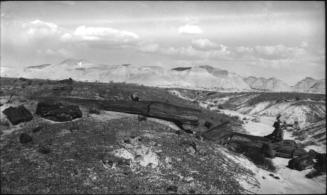 Petrified Forest National Park