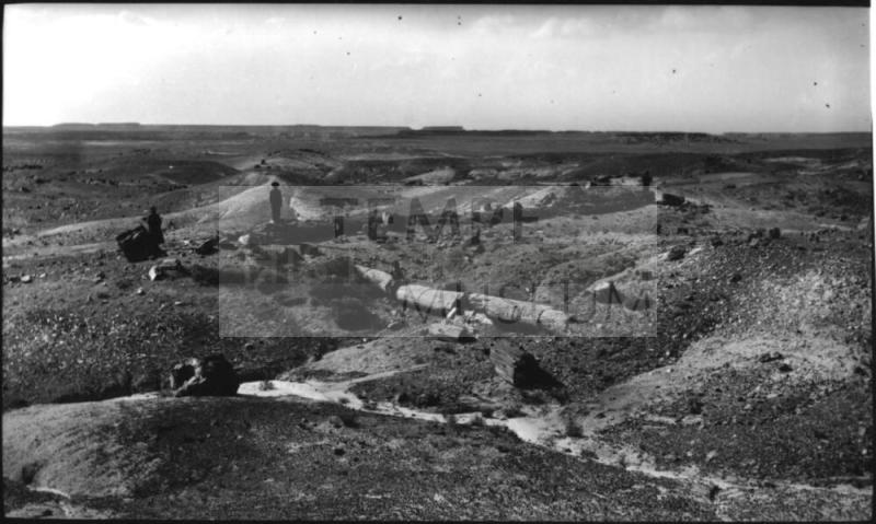 Petrified Forest National Park