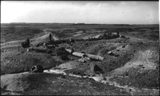 Petrified Forest National Park