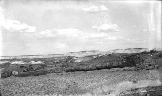 Petrified Forest National Park