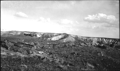 Petrified Forest National Park