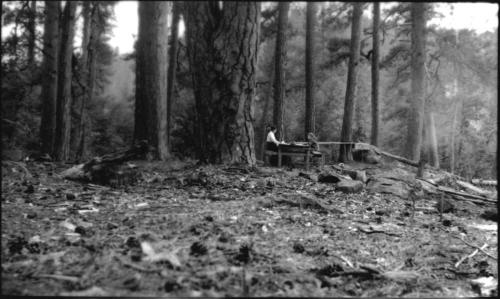 Ruby and Dorothy Woolf sitting at table in campsite in forest