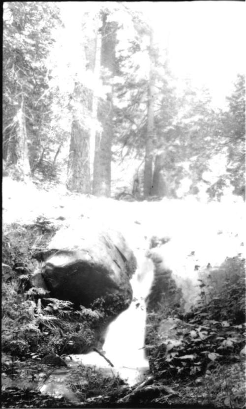 waterfall in forest