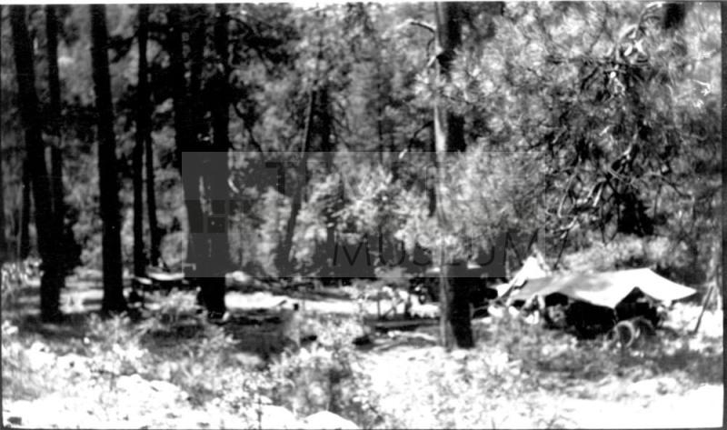 campsite in forest